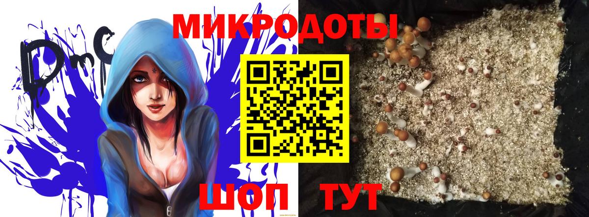 Галлюциногенные грибы MAGIC MUSHROOMS  Галлюциногенные грибы Cubensis  Гагарин  Вход с VPN 